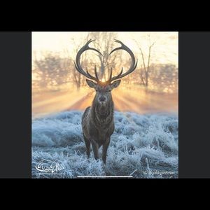 Meet your Posher, William